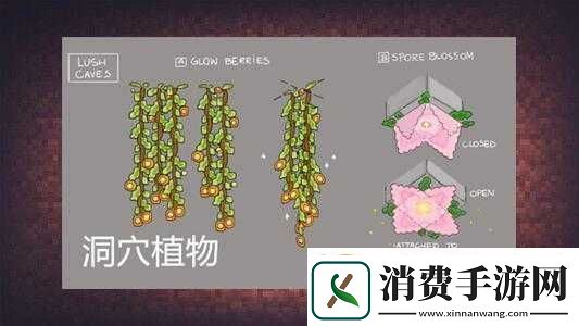 我的世界中藤蔓的多种用途详细介绍与全面分析