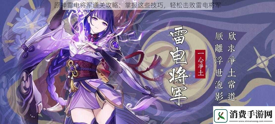 原神雷电将军通关攻略