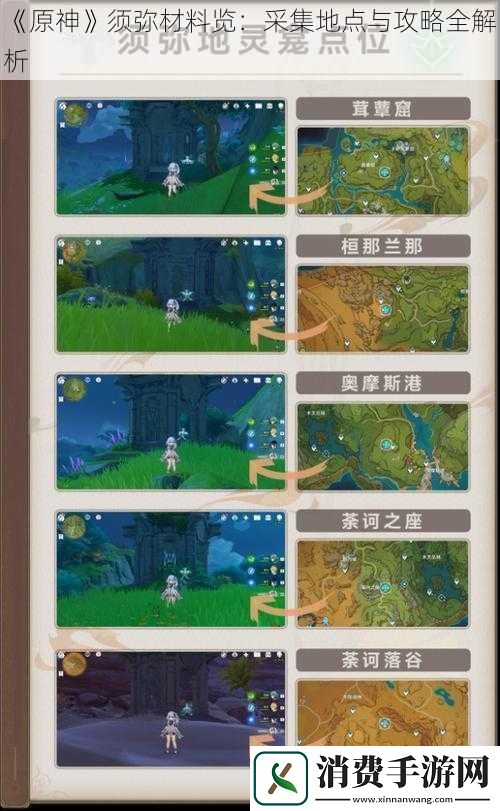 原神须弥材料览