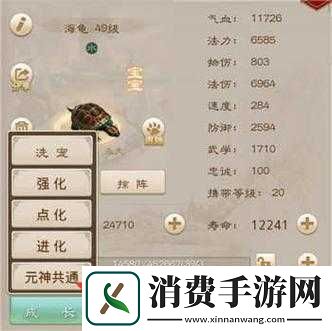 问道手游宠物元神共通有什么用