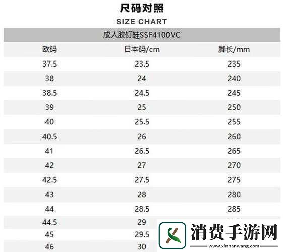 欧洲码日本码专线