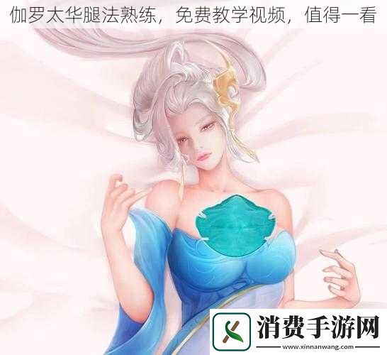 伽罗太华腿法熟练