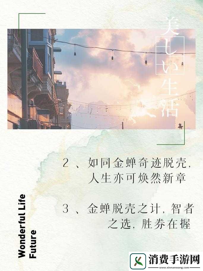 生活智慧秘籍