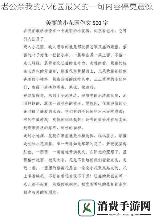 老公亲我的小花园最火的一句内容停更震惊