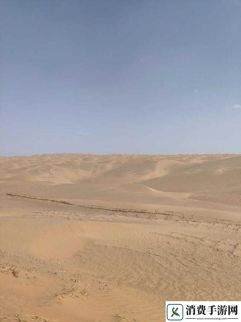 干到走不了路