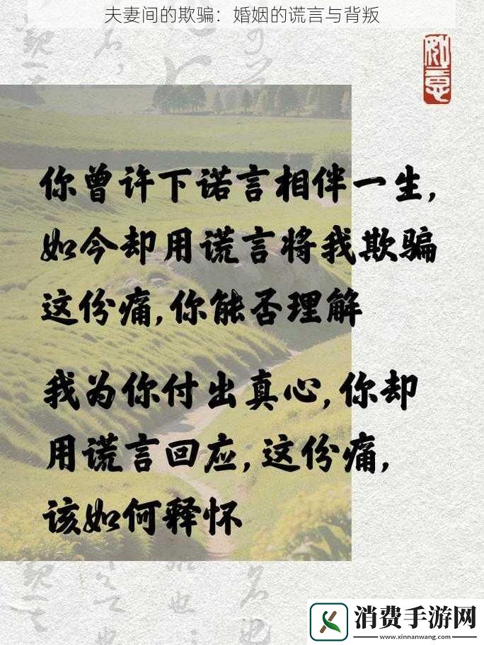 夫妻间的欺骗