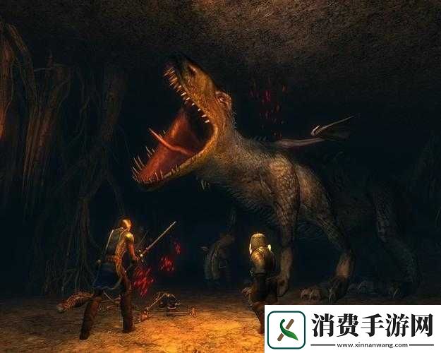 龙歌黑暗之眼获取同伴的全面攻略与实用技巧详细指引