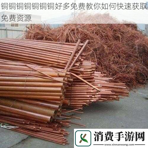 铜铜铜铜铜铜铜好多免费教你如何快速获取免费资源