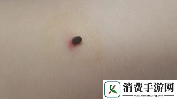 “潮虫”来袭！衣底藏“龙”引领风骚