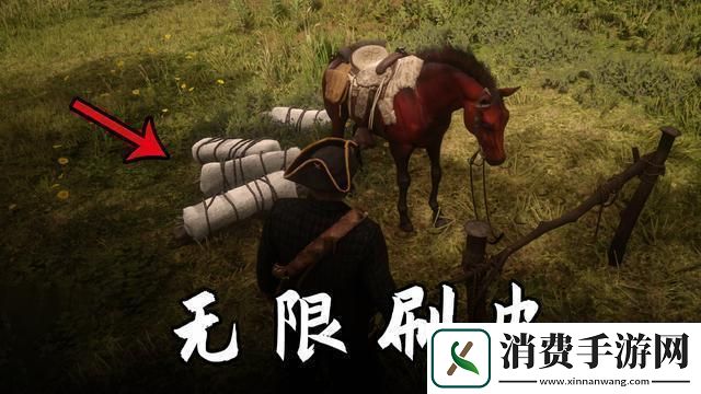荒野大镖客2皮毛品质飞跃