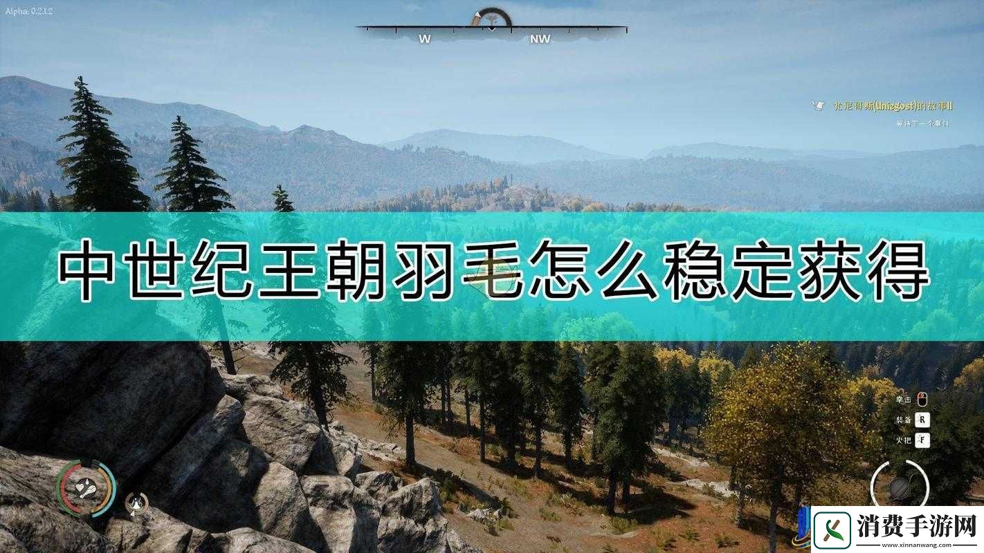 中世纪王朝羽毛获取途径详细介绍及多种方法一览