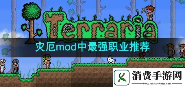 泰拉瑞亚灾厄mod中最强职业是什么最强职业推荐