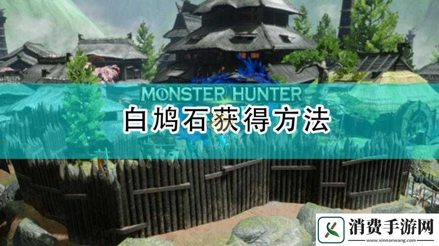 怪物猎人世界白鸠石位置及获得方法详细介绍大揭秘