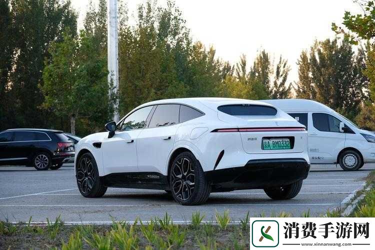 深度探究欧美大尺寸