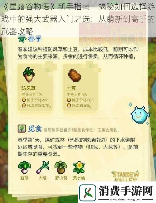 星露谷物语新手指南