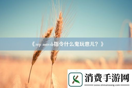 repmovsb指令什么鬼玩意儿