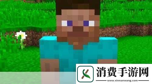 独家爆料杰克·米德尔顿·布莱克或成我的世界电影版史蒂夫