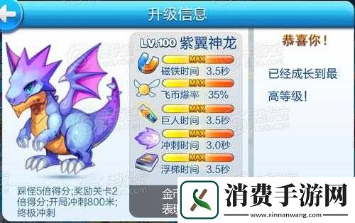 震撼登场天天酷跑新坐骑紫翼神龙全新公告及获取方法详解