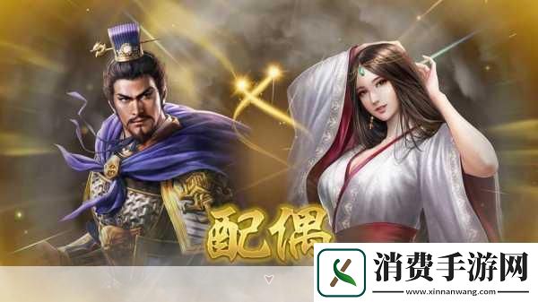三国志8重制版Steam价格大揭秘及玩家必备问题解决方案