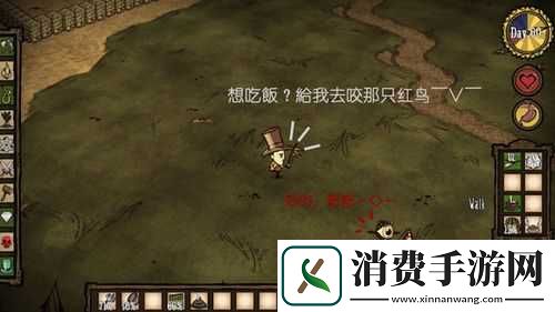 饥荒游戏中如何成功饲养高鸟的详细方法与技巧介绍