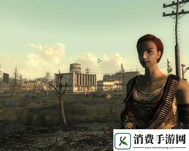 深入探索辐射