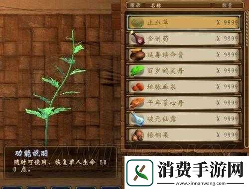 探索穹之扉的神秘世界