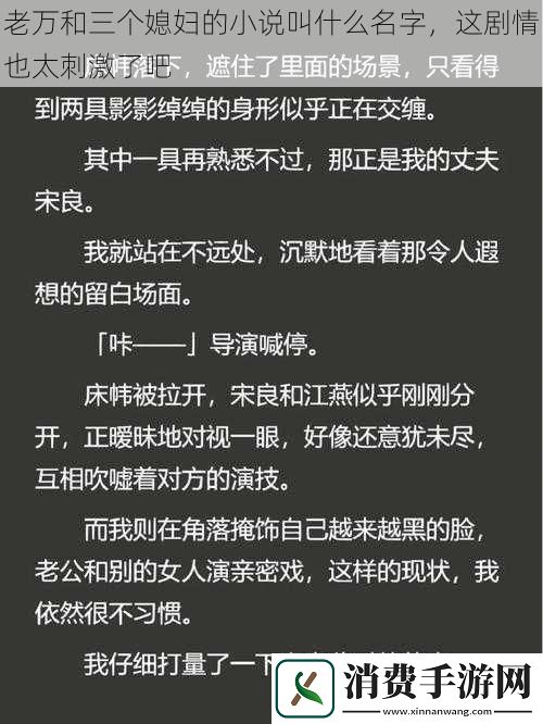 老万和三个媳妇的小说叫什么名字