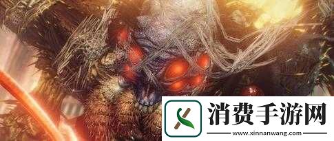 阿克拉什传承中九头龙的详细打法及应对策略解析