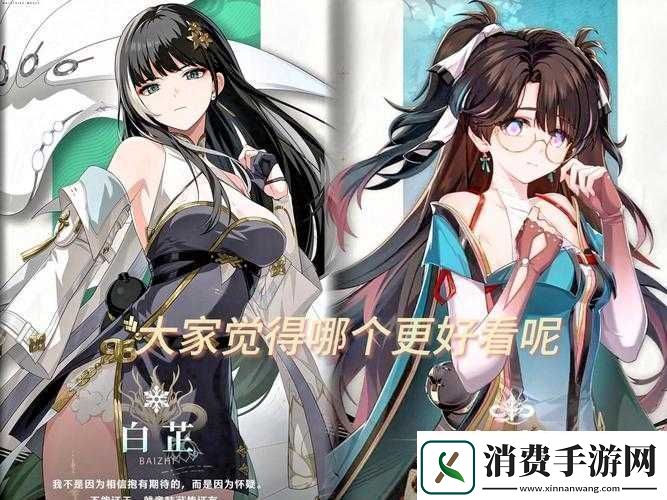 鸣潮12折枝技能强度全方位详细解析与介绍