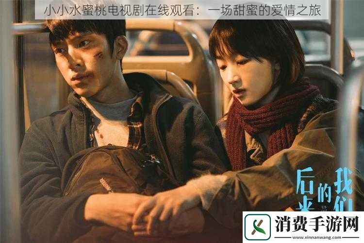 小小水蜜桃电视剧在线观看