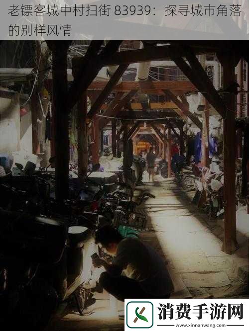 老镖客城中村扫街