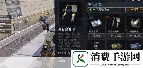 在和平精英这片广袤的战场上