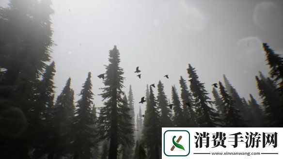 NCSOFT在重组中取消了战斗粉碎和Project