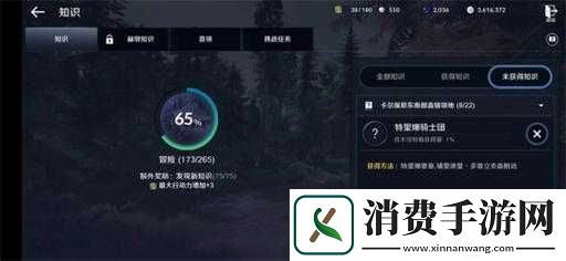 探秘黑色沙漠手游