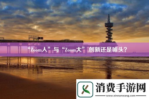 “Zoom人”与“Zoom大”