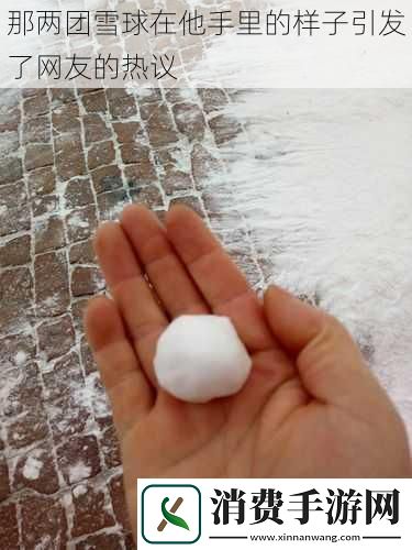 那两团雪球在他手里的样子引发了网友的热议