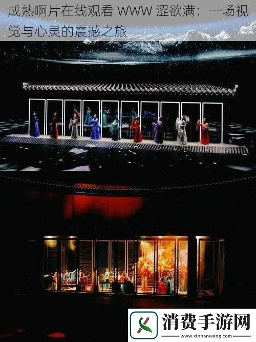 成熟啊片在线观看