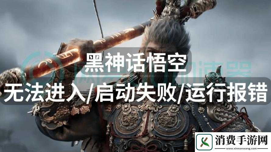 黑神话悟空显卡无法开启补帧难题解决策略探寻