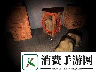 探索神秘古埃及