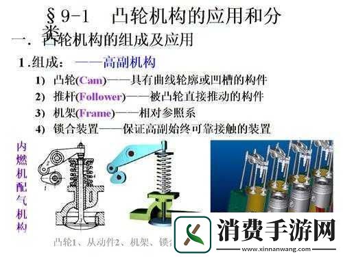 性别自由凸轮管