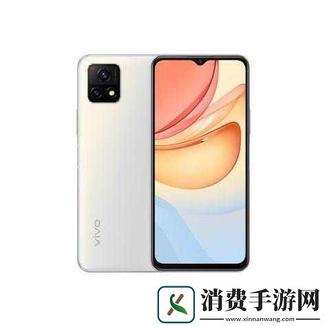 成色好的y31s标准版官
