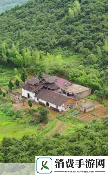 如何找到她的桃花源探索旅游景点攻略