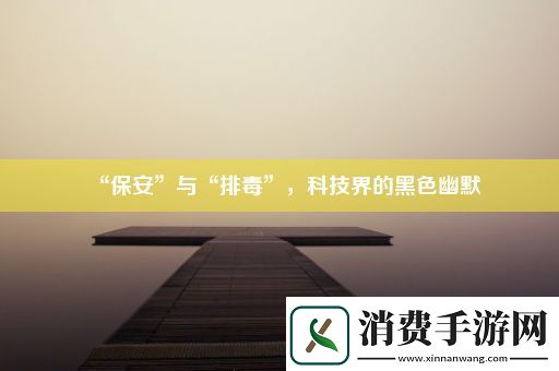 “保安”与“排毒”