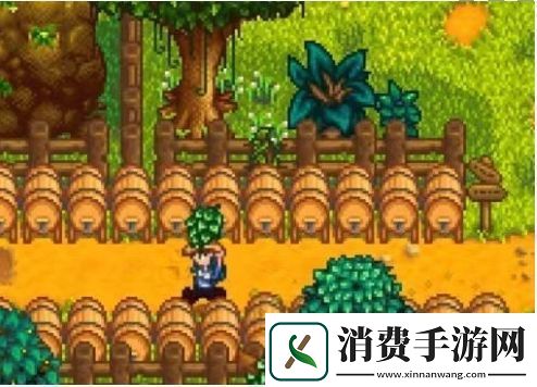星露谷物语啤酒桶怎么获得