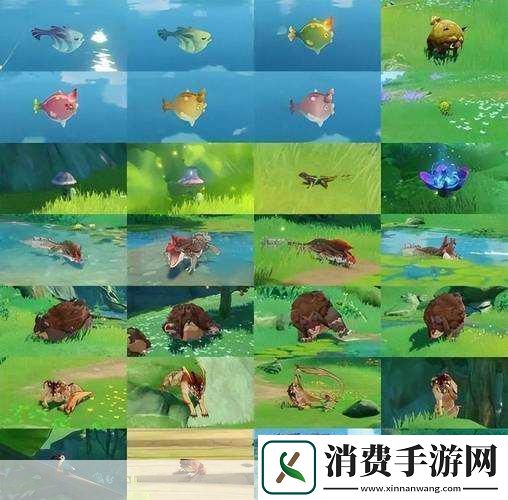 原神深林的记忆核心角色深度解析