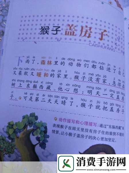 大猴子会一直抱着小猴子