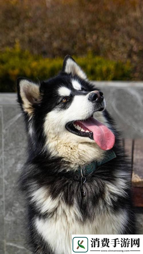 “诡异质感”家中揭秘