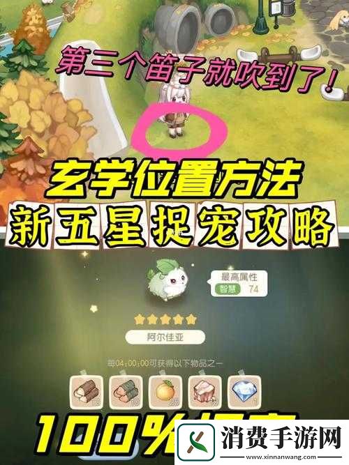 奥比岛手游星宠物捕获攻略