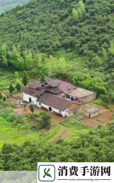 如何找到她的桃花源探索旅游景点攻略