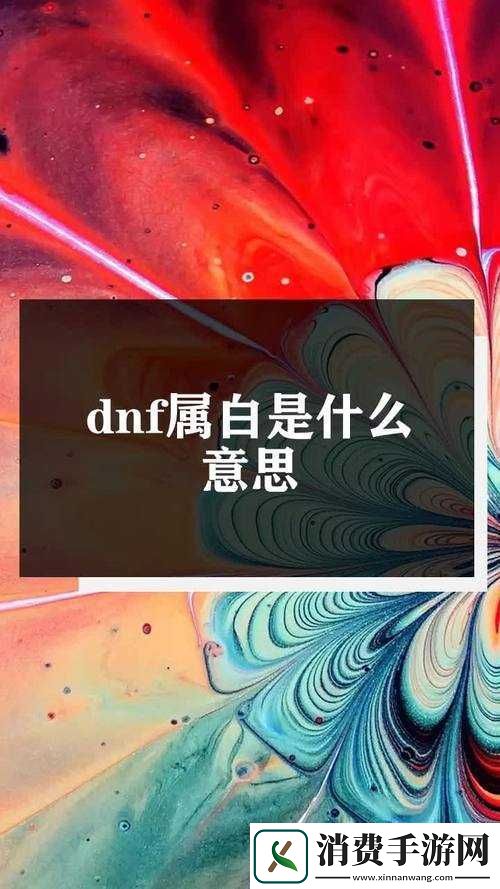 DNF属白是什么意思